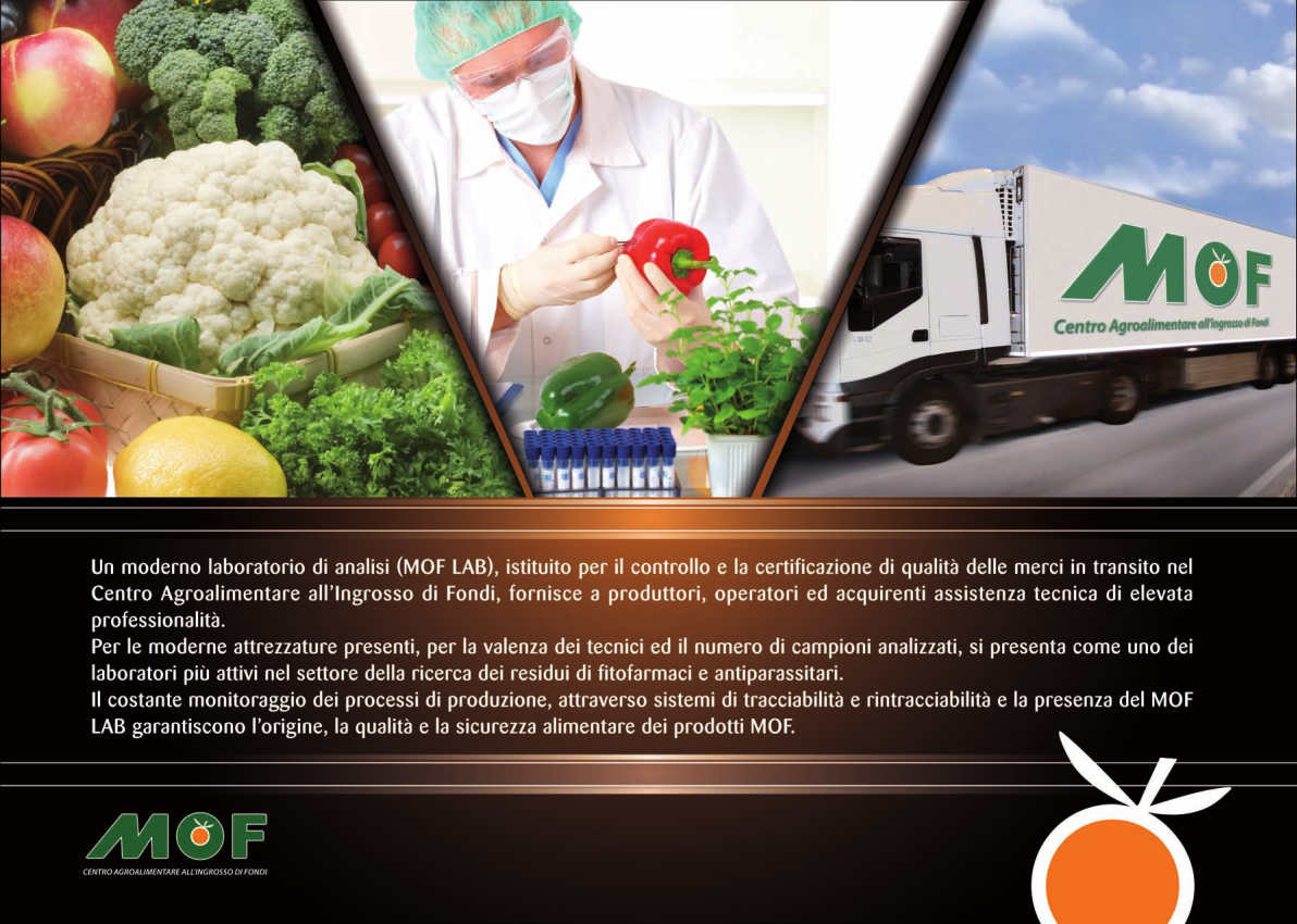 mof-brochure-ita760776D31-88CF-A96D-2AC2-7055742BB208.jpg